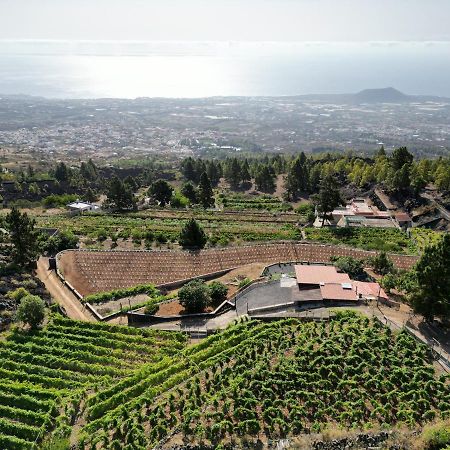 Finca Ecologica Ferrera. Alojamiento Rural. Arafo Dış mekan fotoğraf