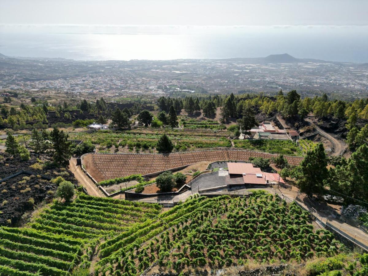 Finca Ecologica Ferrera. Alojamiento Rural. Arafo Dış mekan fotoğraf